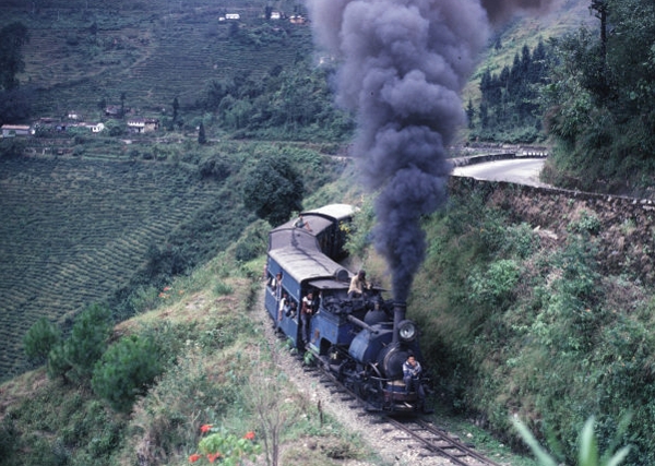 The train to Darjeeling