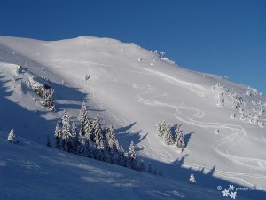 Busteni-ski