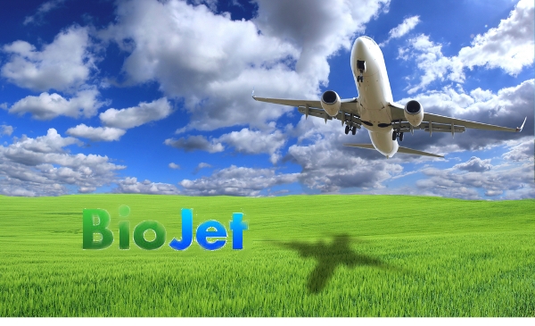 BioJet fuels