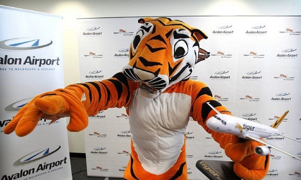 CASA not playing around with Tiger