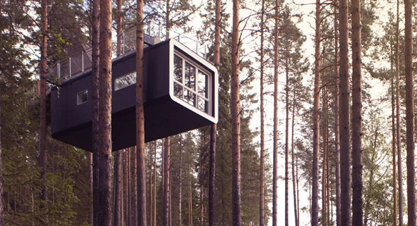 cabin tree house