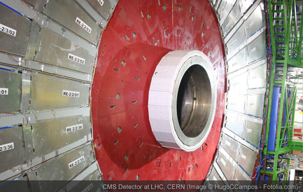 CMS Detector at LHC, CERN 