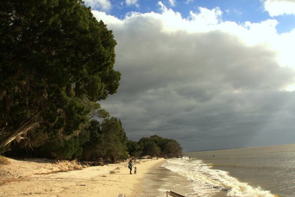 Beach at Jekyll Island Georgia