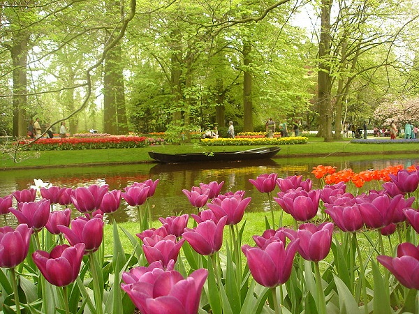 Keukenhof Gardens, Holland