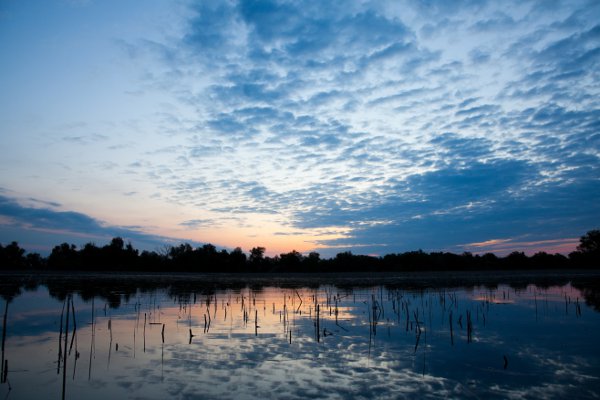 The Danube Delta in Romania