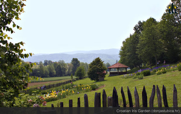 Croatian Iris Garden