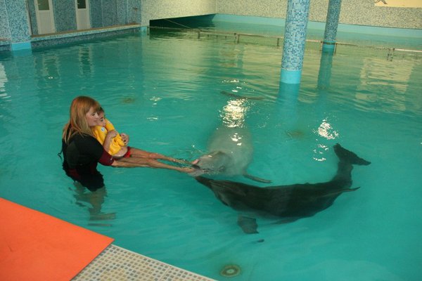 Dolphins in the pool with kids
