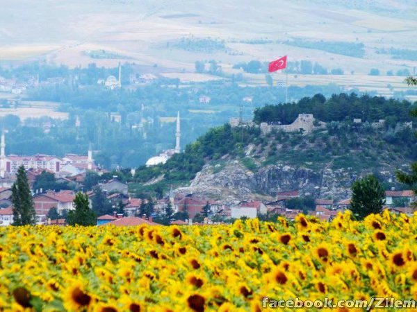 The Zela Turkey landscape