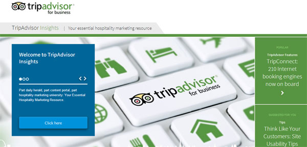 TripAdvisor Insights 