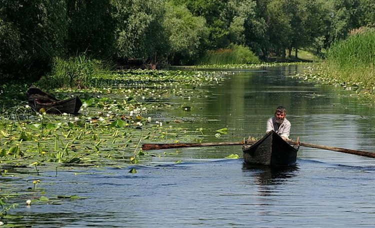 Canoing the Danube Delta - Courtesy Spiridon MANOLIU