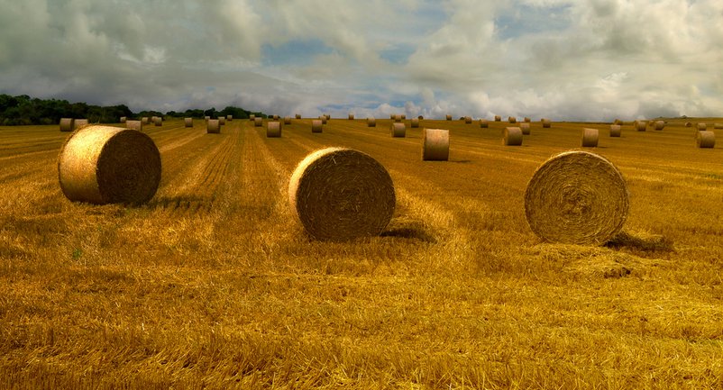Harvest time France by Céline Colin