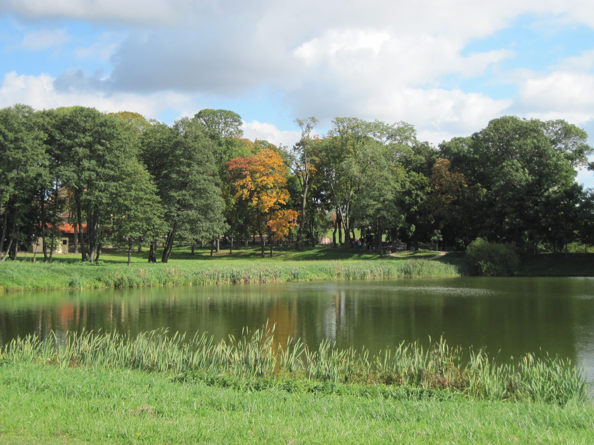  Nesvizh Castle park