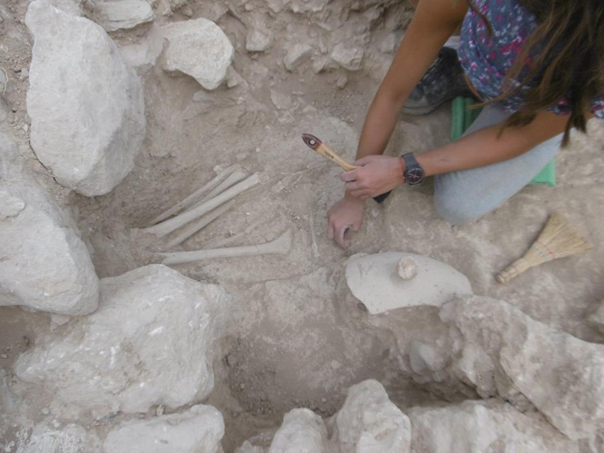 Petras Excavations