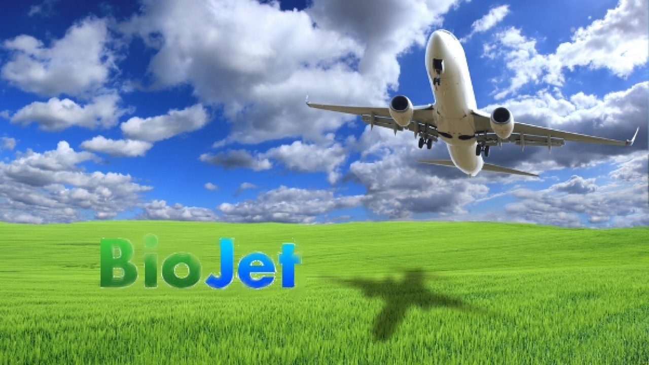 Biojet Offers Aviation Industry Cheap Alternative Fuel