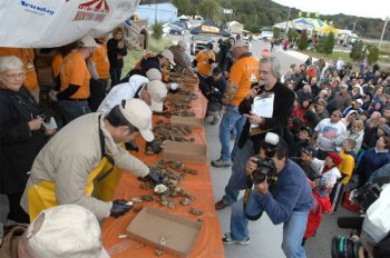 Oyster Festival