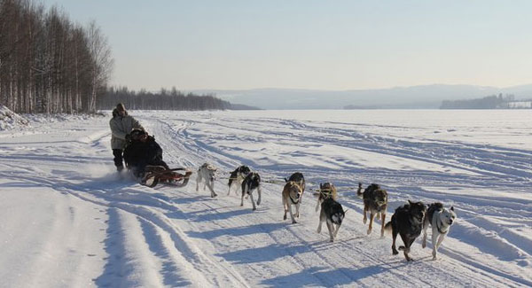 Best Winter Trips 2011: Treehotel in Harads, Sweden