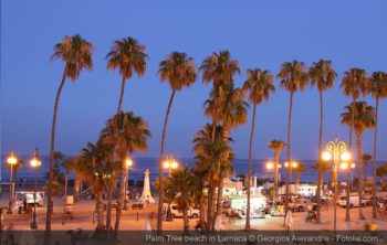 Palm Tree Beach of Larnaca at Dusk