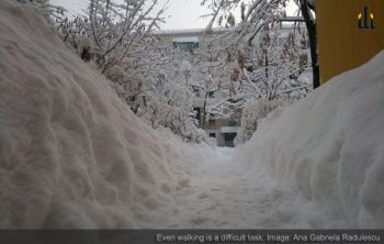 snowfall