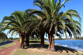 Biking Perth