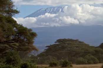 Kenya - by ollografik