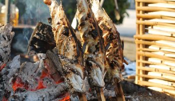 Budapest Fish Festival