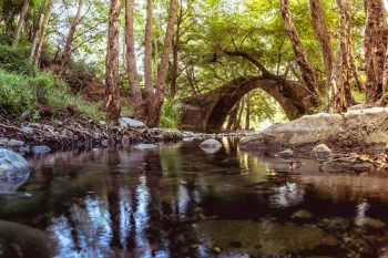 Paphos Forest Kelefos Bridge