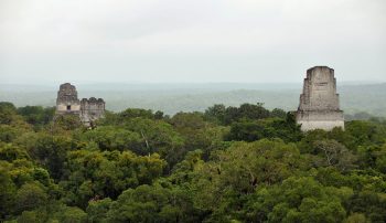 Tikal Mayan Ruins Temples 1, 2, 3 and 5 Guatemala