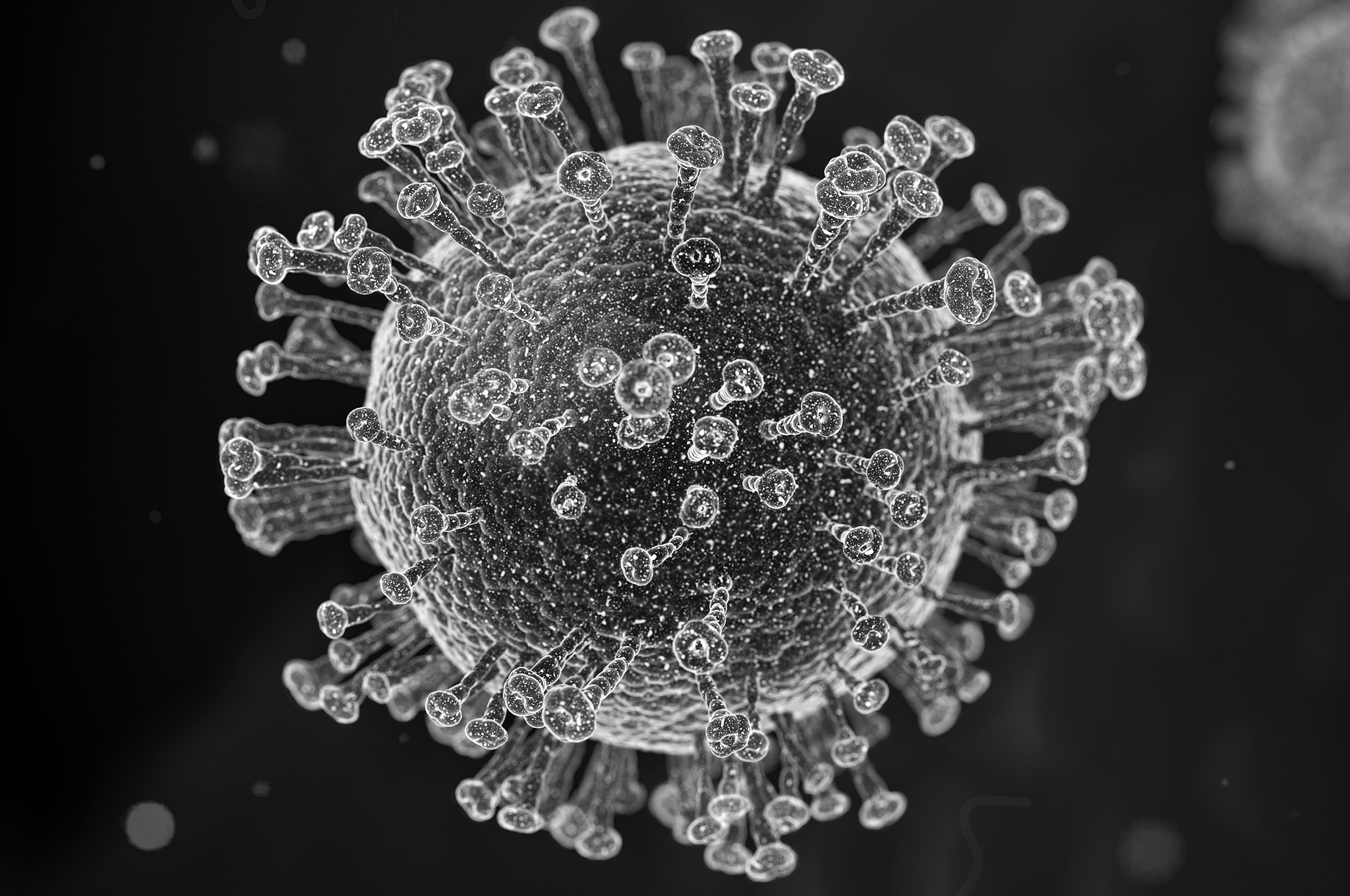 Штаммы коронавируса мире