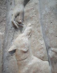 Ancient dogs in Greece
