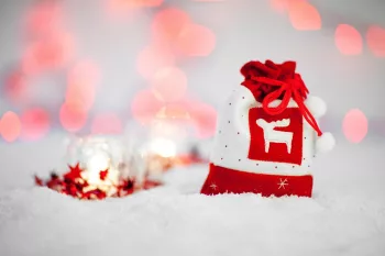 Eco-Friendly Christmas Gifts