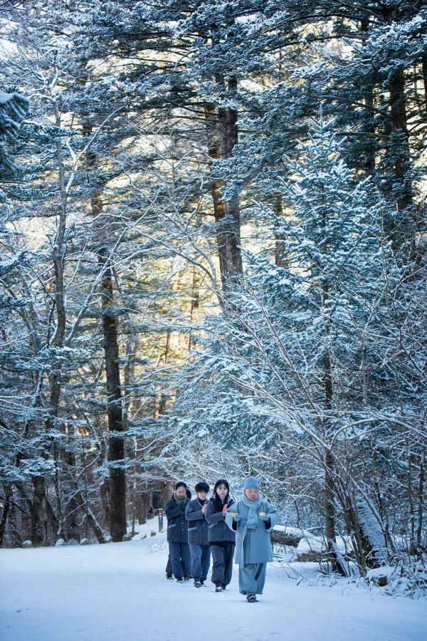 Templestay at Woljeongsa Temple at Pyeongchang