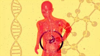 digestion concept