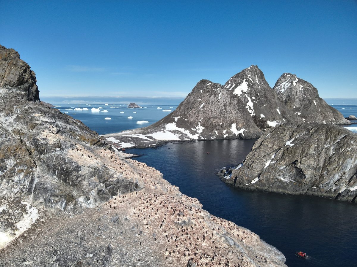 Astrolabe Island with Diaz Rock in the distance. 