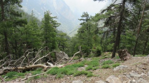 Samaria Gorge