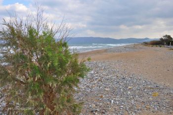 Livadia Beach