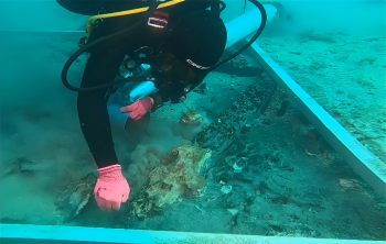 Underwater archaeologists unearthed brass trumpets dating back to the late 16th century near Cape Kamenjak, Istria.