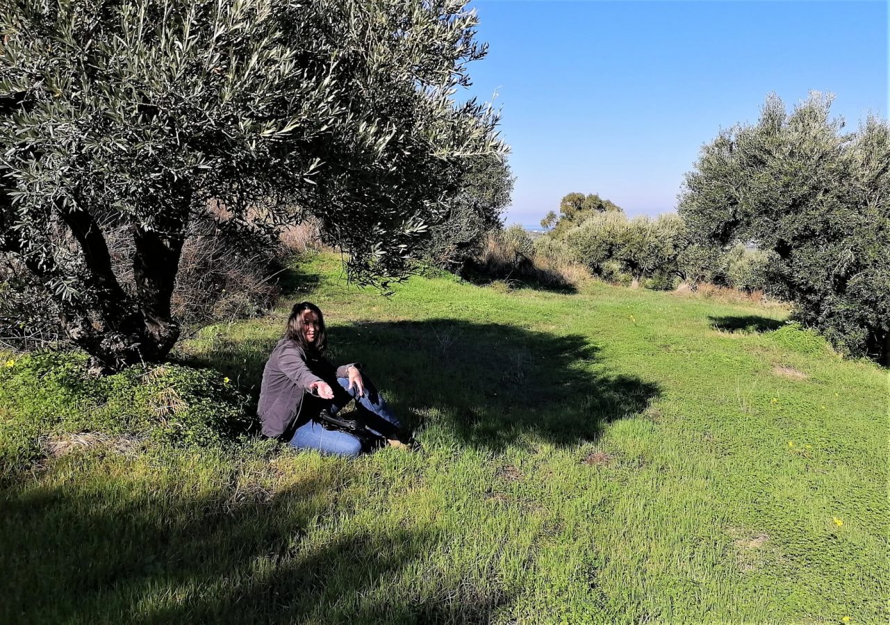 Mihaela Lica Butler in a Cretan olive grove.
