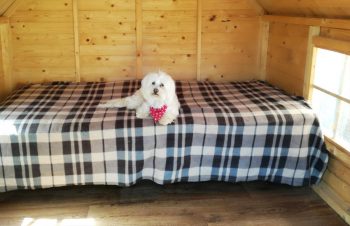 I LOVE DOGS puppy mansion