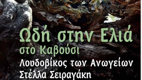ode to the olive tree