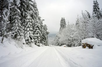 Bieszczady Mountains