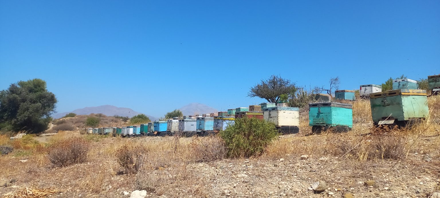 bee hives in Crete