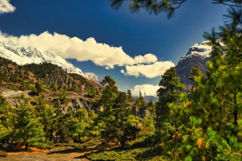 Asia tours: Annapurna, Narchyang, Nepal