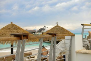 Bahamas