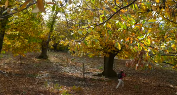 5 Charming Cretan Villages in the Municipality of Platanias