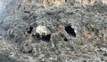 Because of the current drought crisis, the authorities should declare a state of emergency on the island of Crete.
