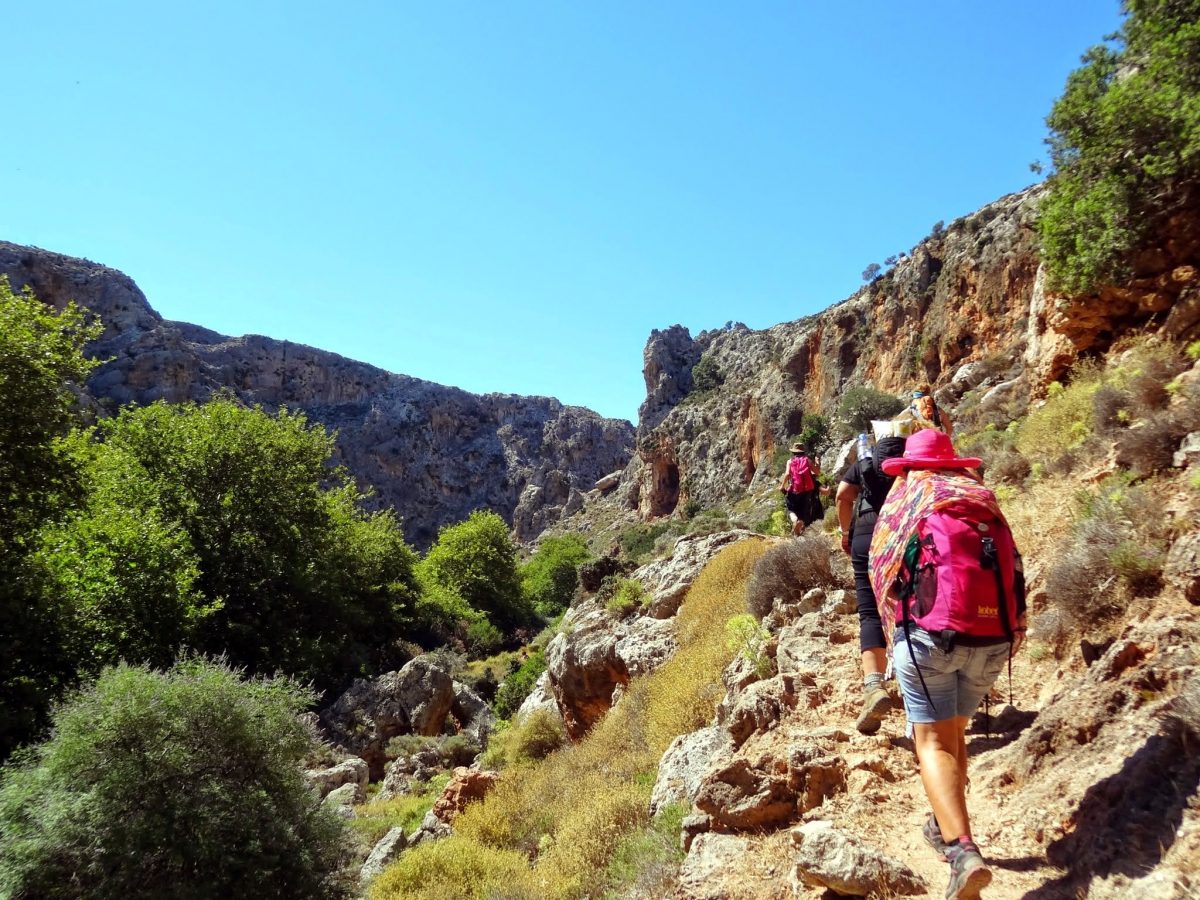 Kato Zakros Gorge