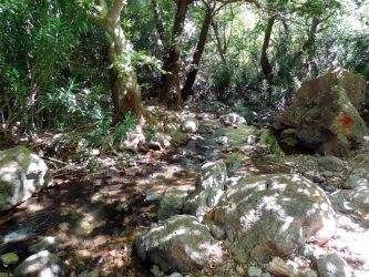 Lasithi's stream cleanup prioritises vulnerable areas with meticulous efforts and planning for long-term improvements.