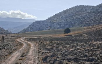 Zominthos—Livadi—Krousonas hike