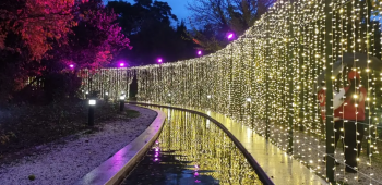 Christmas in the Village