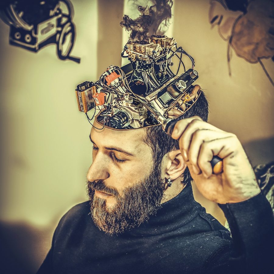 Bigger brains needed